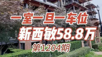 1204 一室一旦一车位 新西敏58.8万