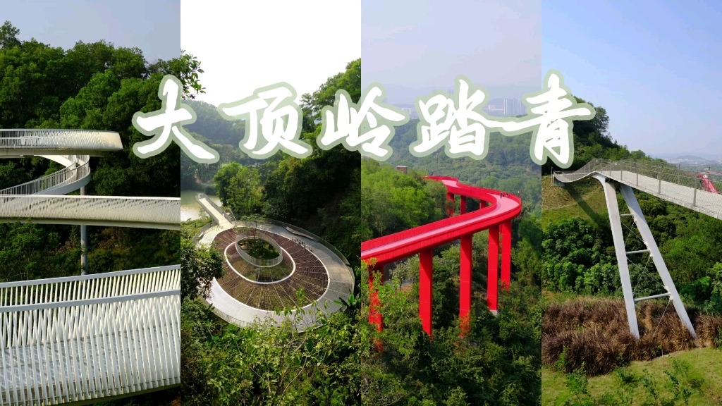 光明大顶岭绿道踏青