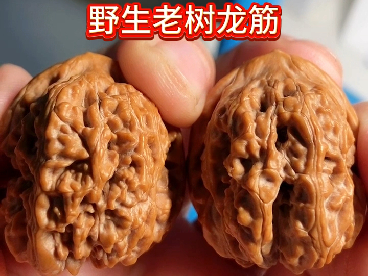 野生小众文玩核桃 纹路深邃狂野