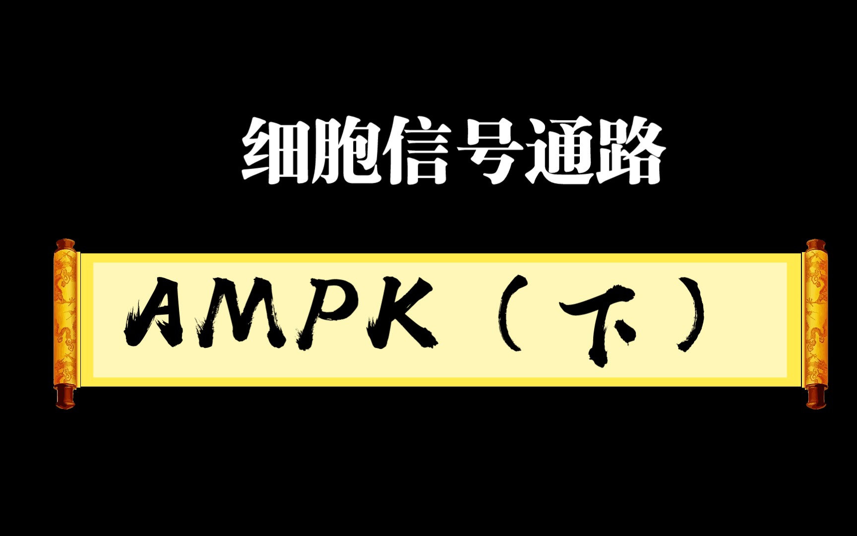 细胞信号通路系列4一AMPK(下)哔哩哔哩bilibili