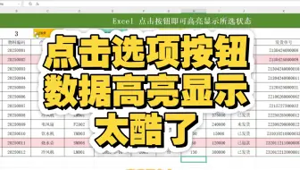Excel中点击不同的选项按钮，数据高亮显示，真的是太酷了