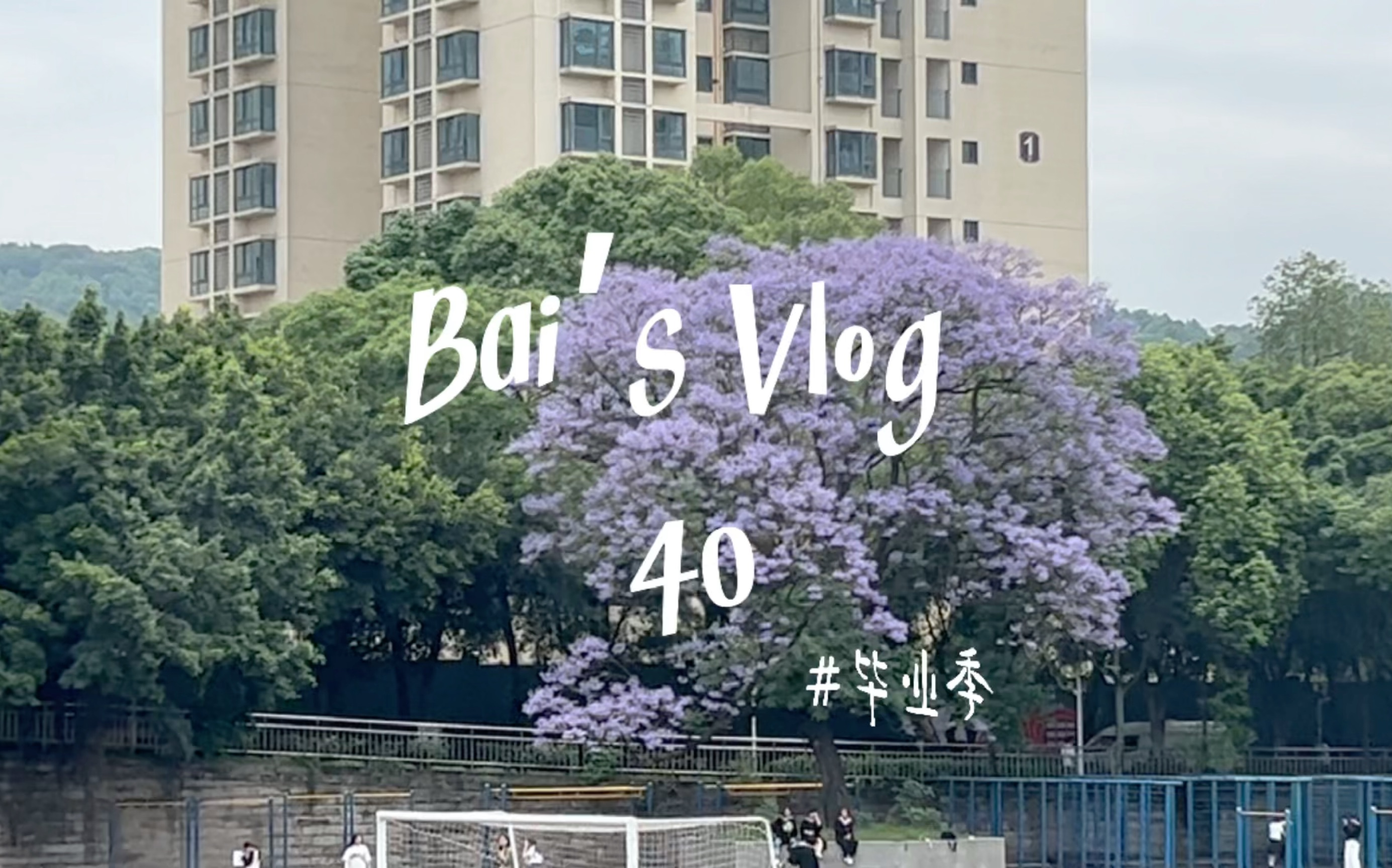 Bai's Vlog 40哔哩哔哩bilibili