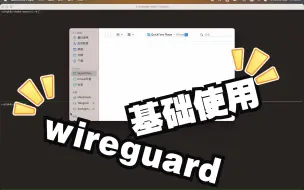 Download Video: Wireguard 基础使用