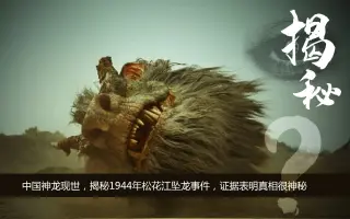 松花江坠龙 搜索结果 哔哩哔哩 Bilibili