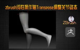 Скачать видео: zbrush线性操作轴Transpose调整关节姿态