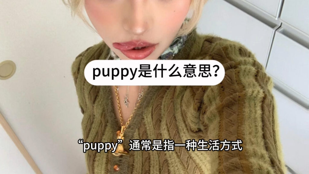 在圈内puppy是什么意思?哔哩哔哩bilibili