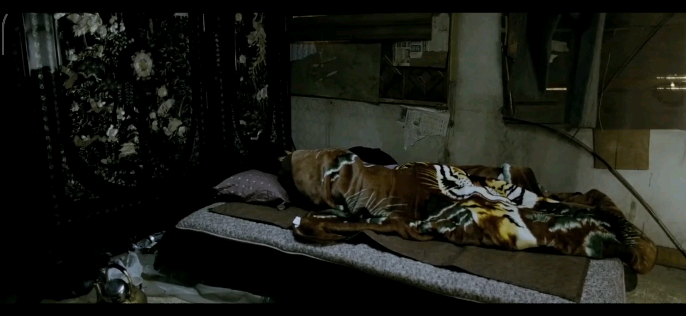 延边棒骨战神绵正鹤