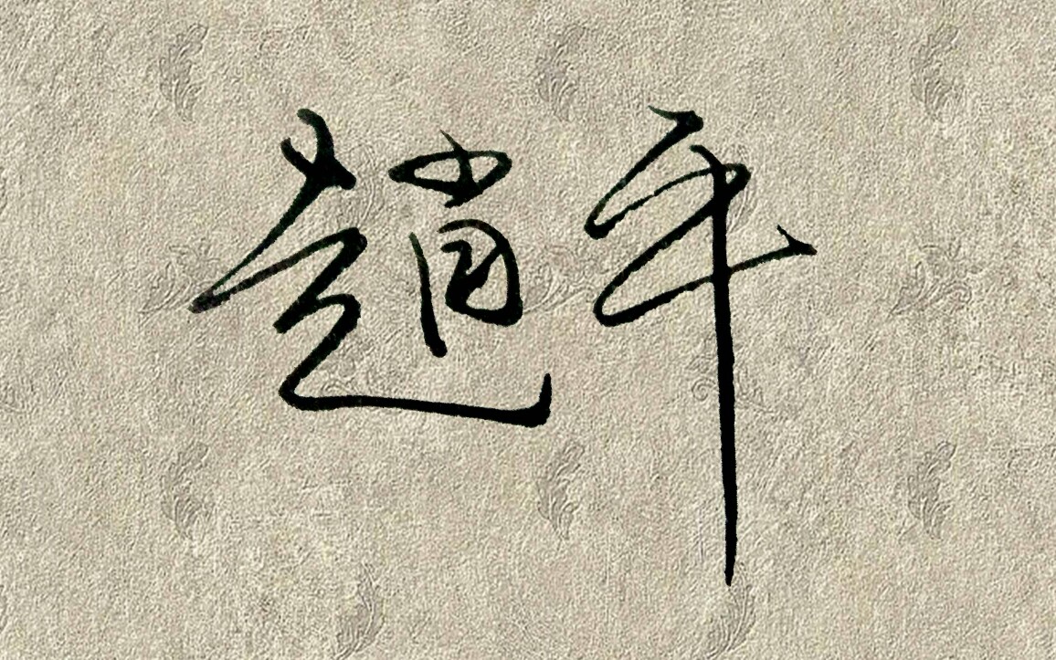 手写设计签名百家姓赵字写法16块钱的烂笔头美工笔打印纸