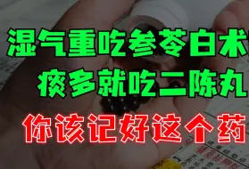 Video herunterladen: 湿气重就吃参苓白术散？痰多就吃二陈丸？你该记好这个药了