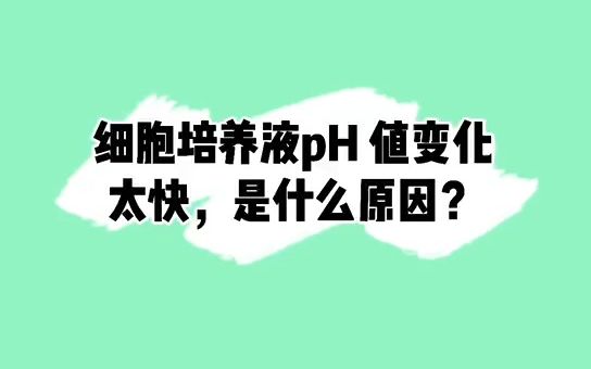 细胞培养液pH值变化太快是什么原因?怎么解决?今天一起来看看#细胞#细胞培养#实验#生物哔哩哔哩bilibili