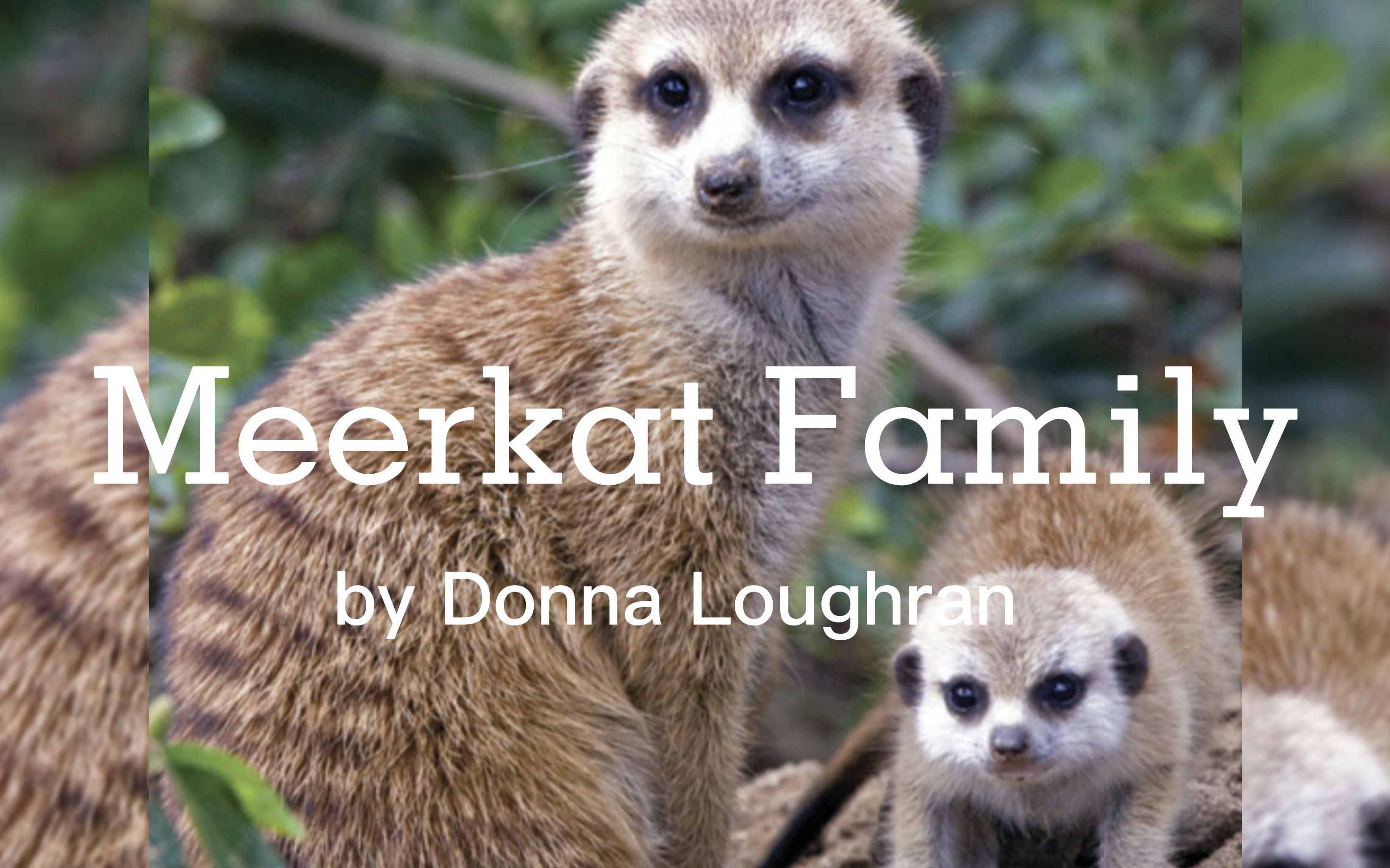 [图]Meerkat Family | On Level 美国加州教材Wonders 一年级