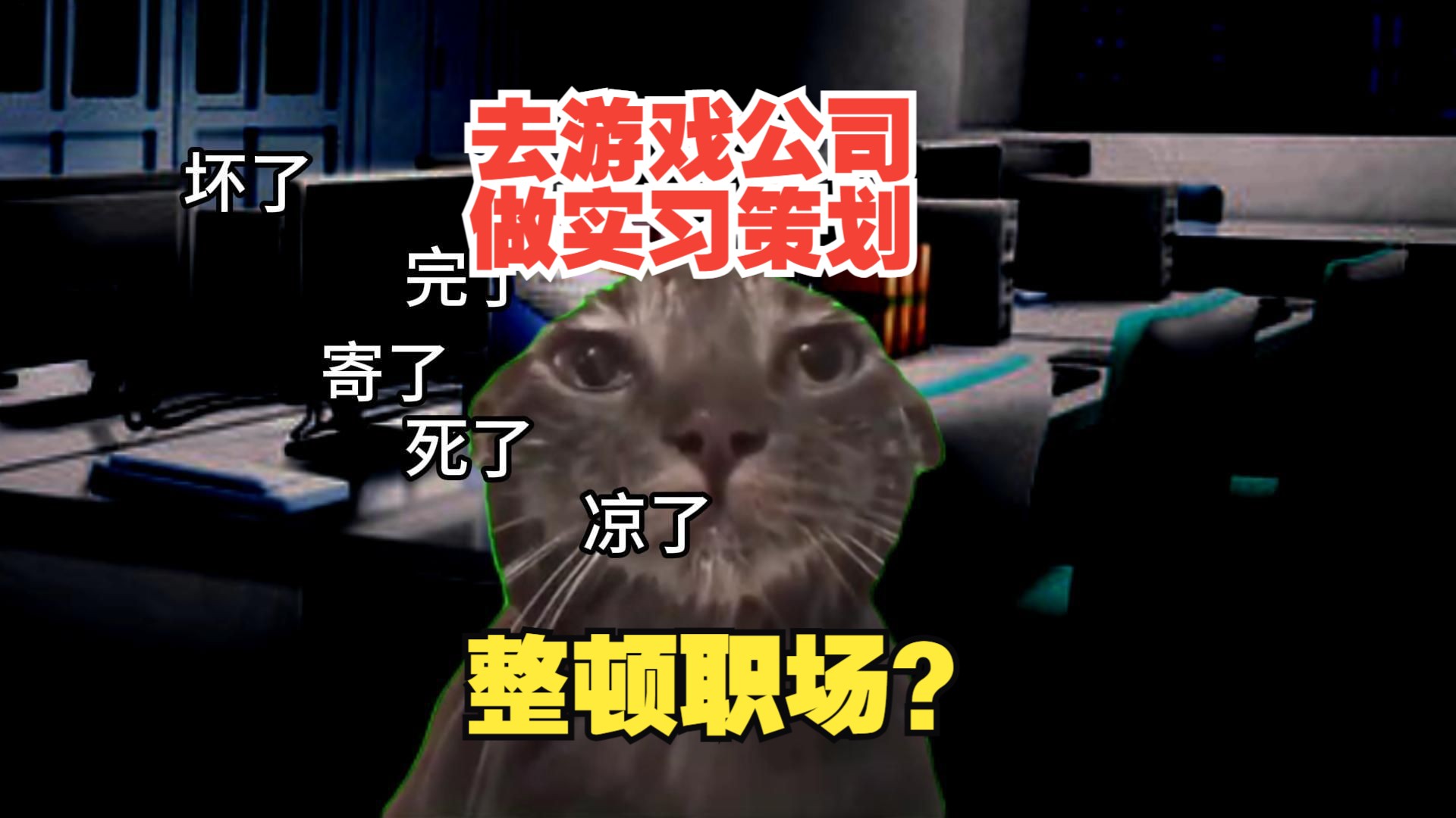 【猫meme】去游戏公司做实习策划!整顿职场?哔哩哔哩bilibili