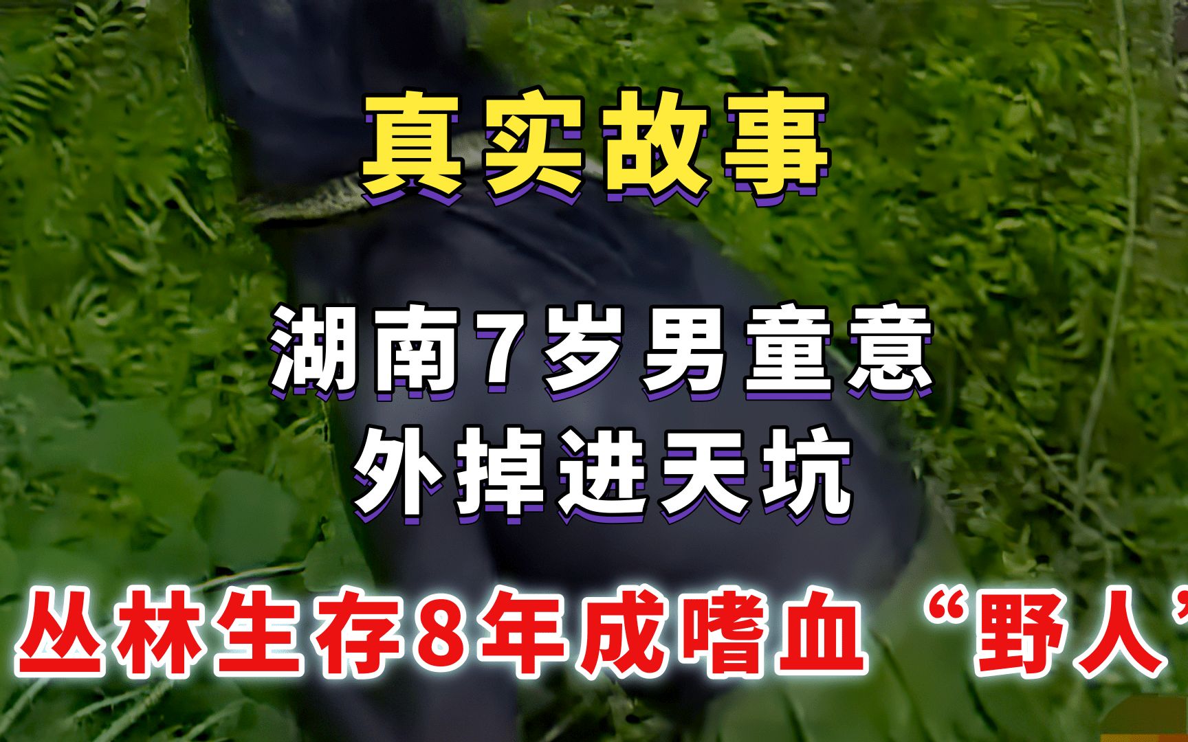 真实故事:湖南7岁男童意外掉进天坑,丛林生存8年成嗜血“野人”哔哩哔哩bilibili