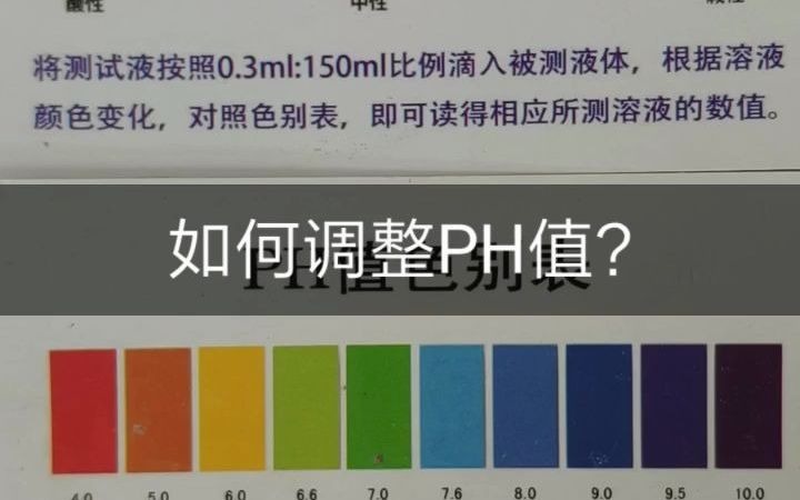 鱼缸水质如何调整PH值?哔哩哔哩bilibili