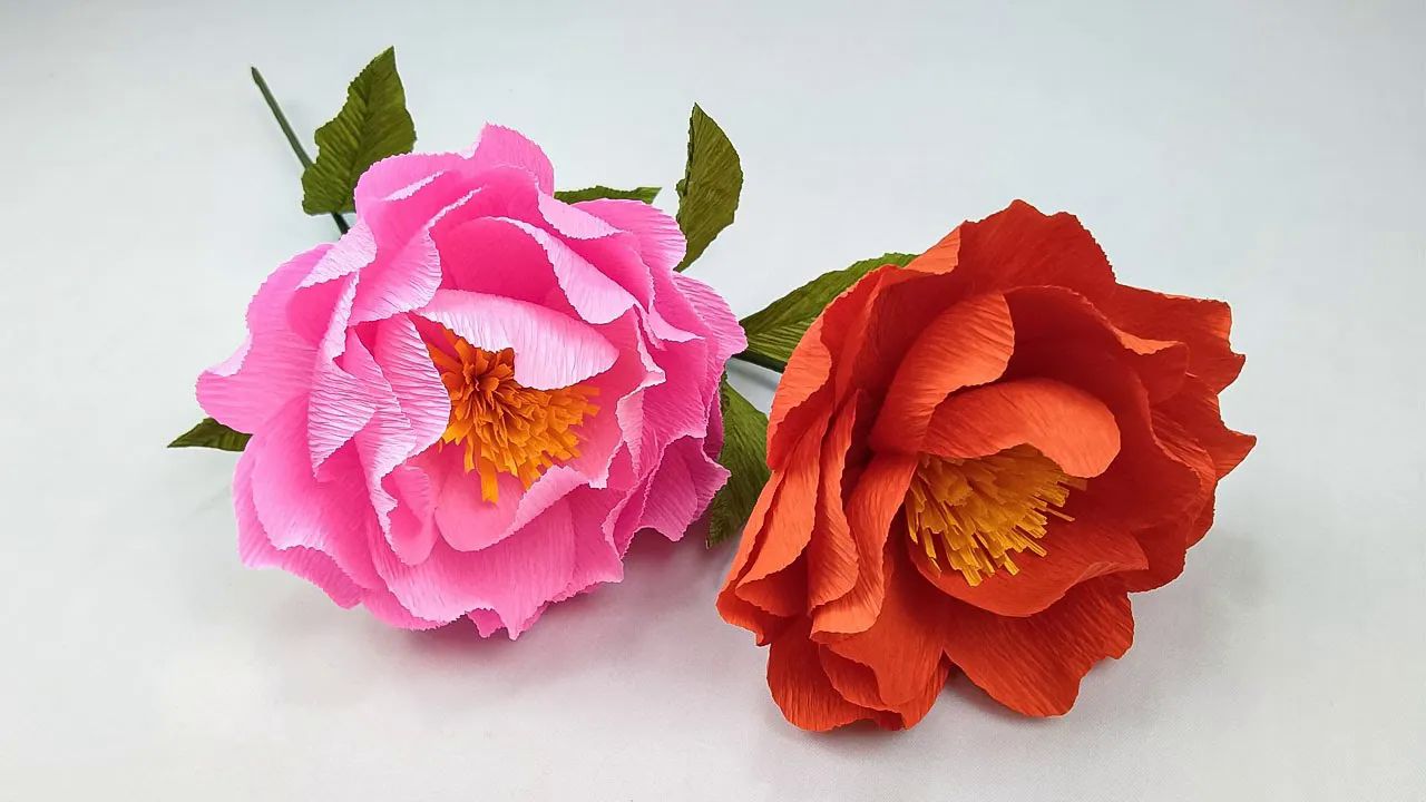 bopha handmade 牡丹皱纸花制作教程easy paper flower made from