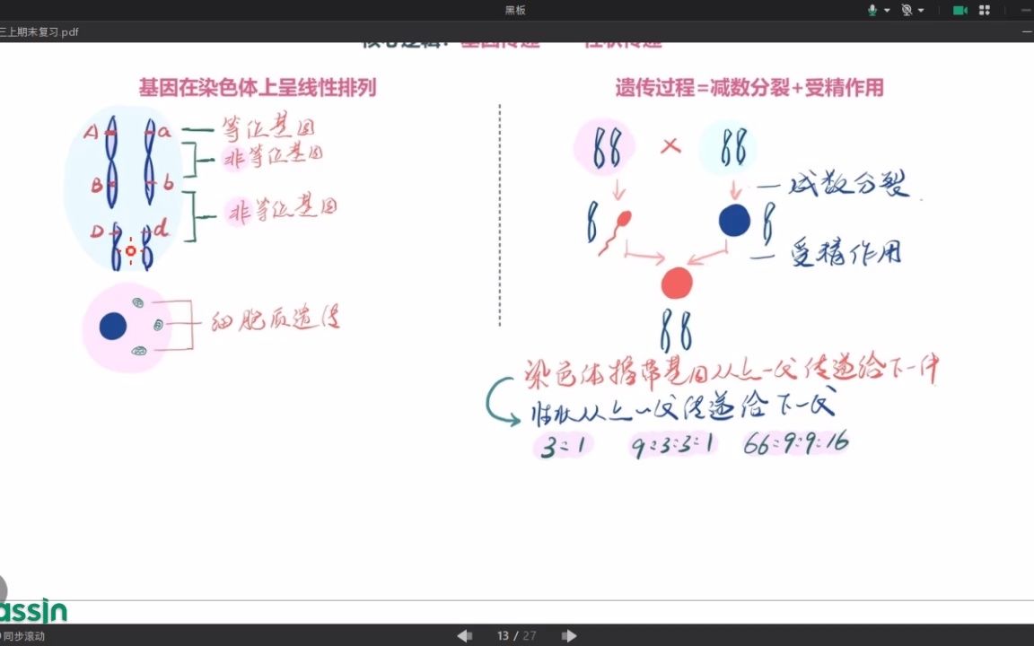 声勿经典遗传学知识串讲哔哩哔哩bilibili