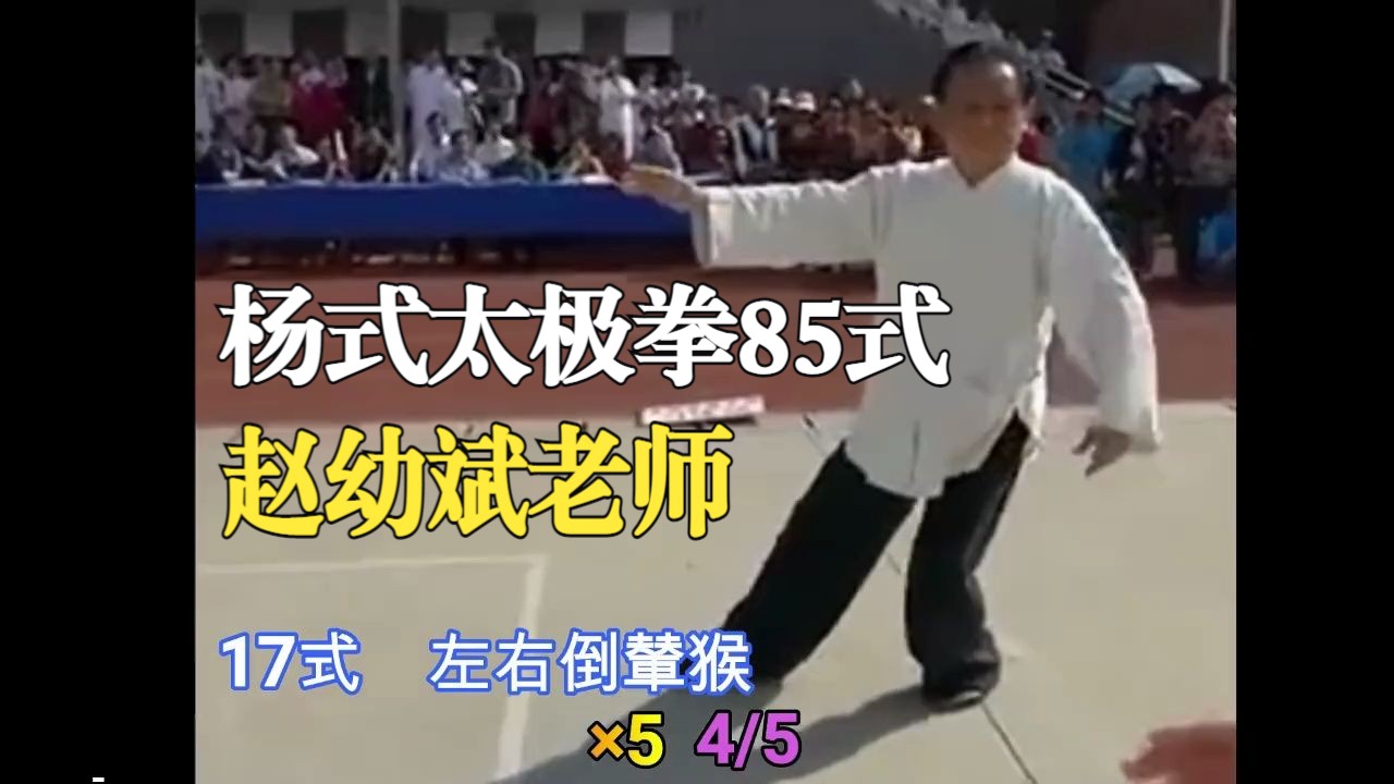 [图]赵幼斌老师-传统杨式太极拳85式（背向+字幕+口令）