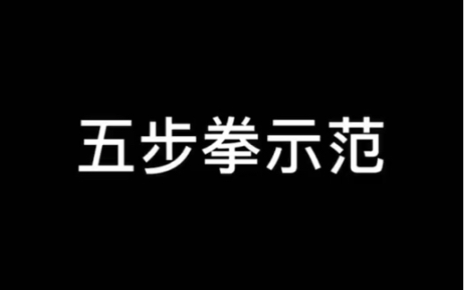 零基础学功夫武术:五步拳教学示范.【武林高手的第一套拳,强烈建议点赞收藏】哔哩哔哩bilibili