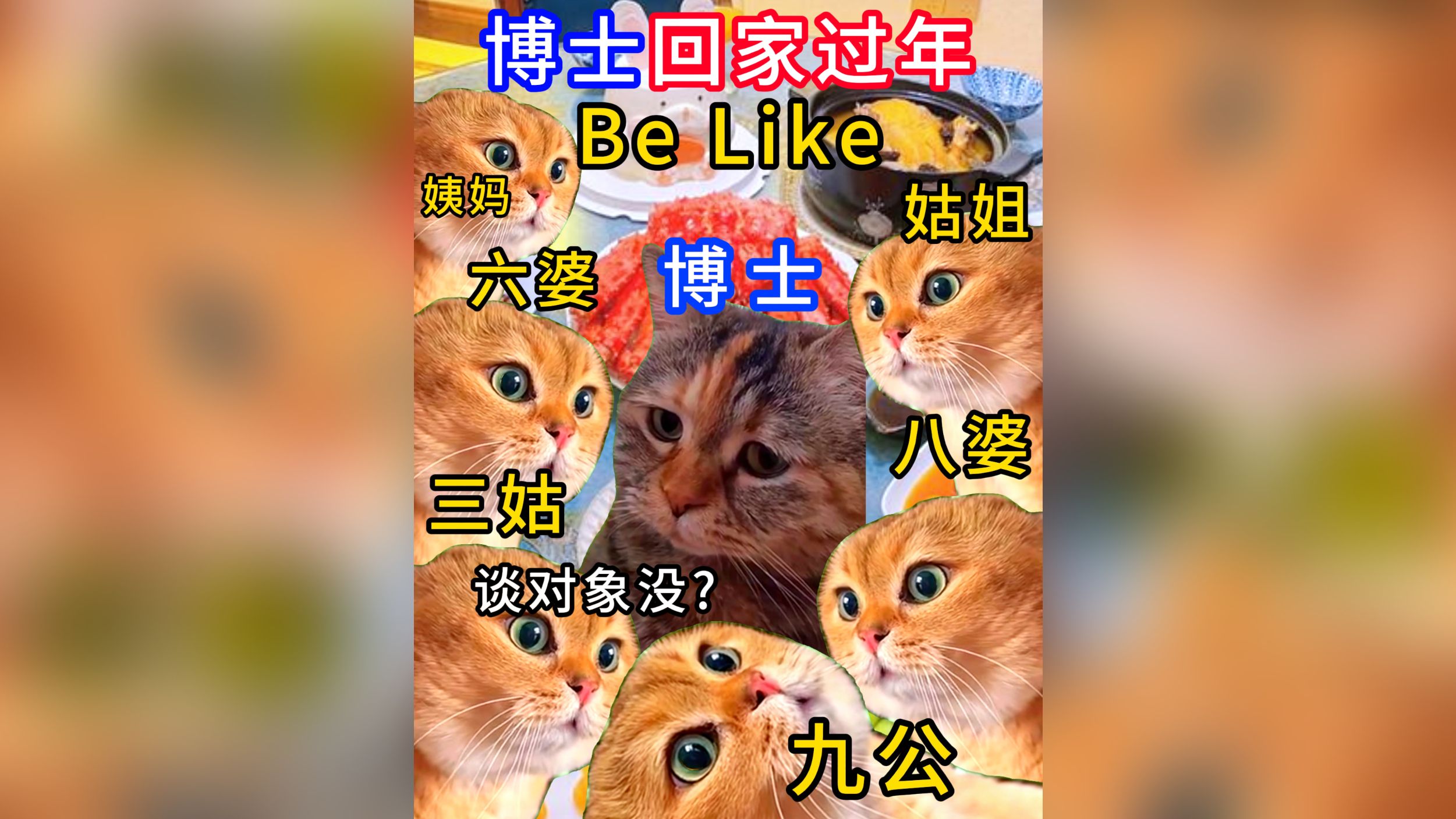 博士回老家过年Be Like...𐟐𒰟𒰟䣢—哔哩哔哩bilibili