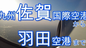 全日空团队羽田空港t2航站楼国际区 Blue Wings 全日空x Tube 哔哩哔哩 つロ干杯 Bilibili