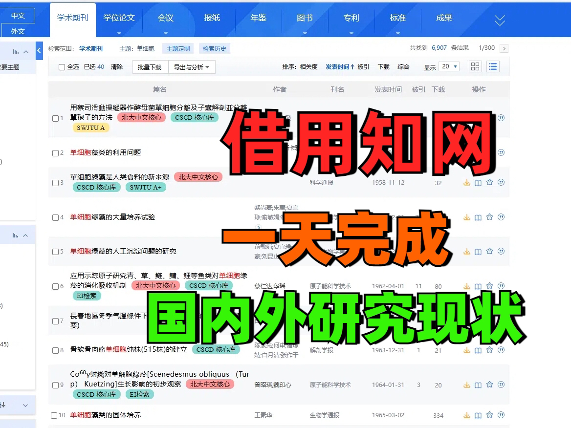 借用知网,一天写完文献综述国内外研究现状毕业论文哔哩哔哩bilibili