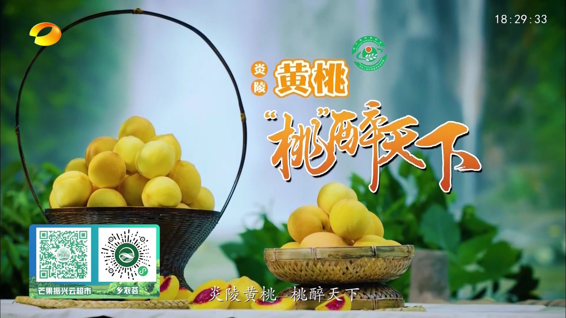 [家乡有好物 我们来推荐] 炎陵黄桃