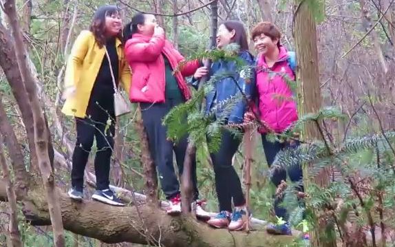 [图]春雨樱花润北山