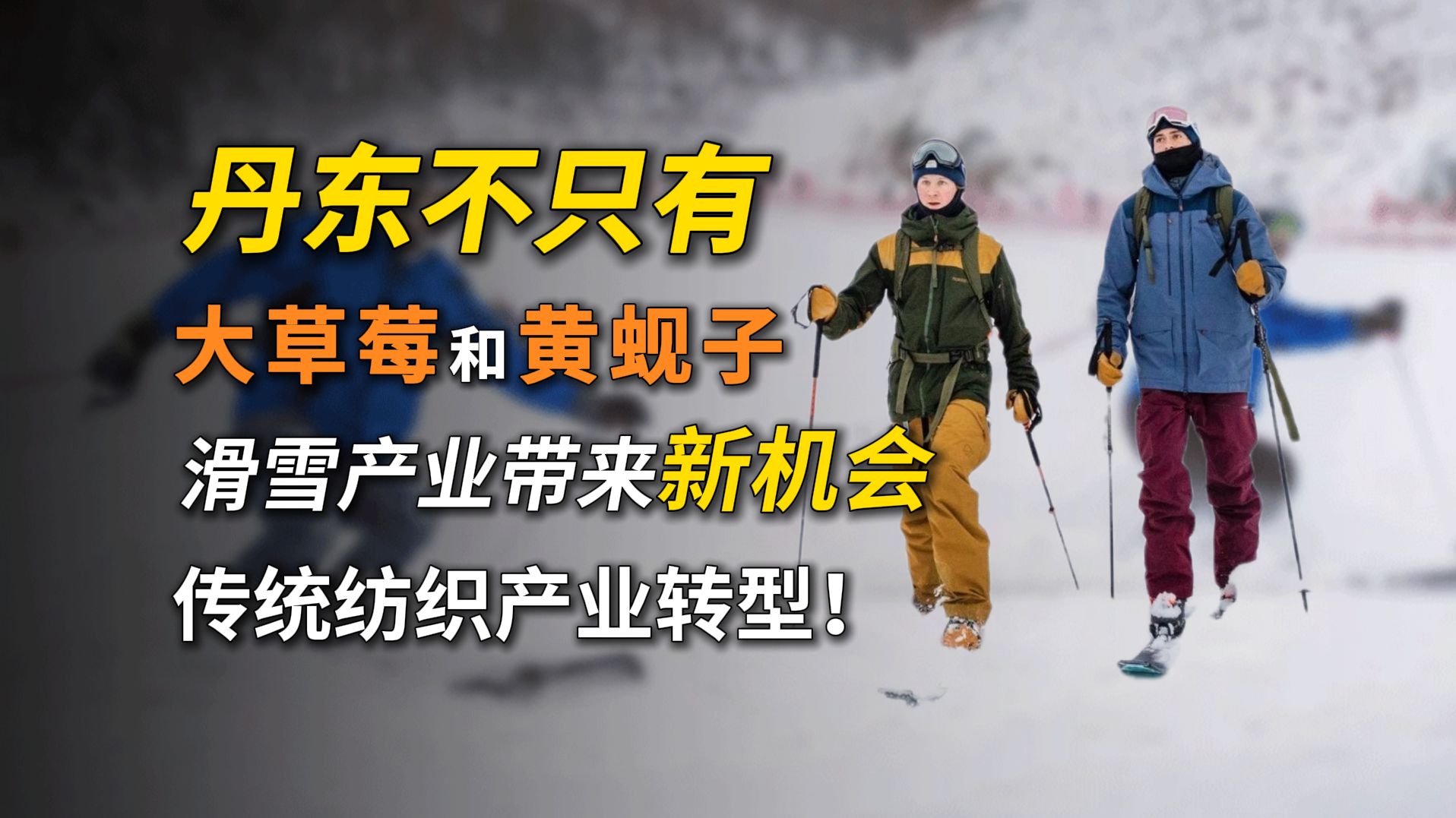 【第45期】东北大丹东,可盐可甜!滑雪胜地带来的纺织产业新机会哔哩哔哩bilibili