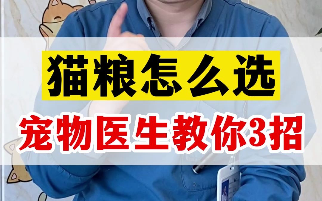 猫粮怎么选?一定要先学会看配料表!哔哩哔哩bilibili