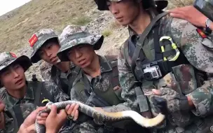 Скачать видео: 野战生存遇到蛇怎么办？有口福了！