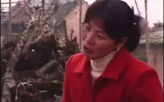 农村女性 哔哩哔哩 Bilibili