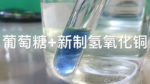 【化学实验】生成砖红色沉淀的还原糖检验与银镜反应/日常怀念高中时光