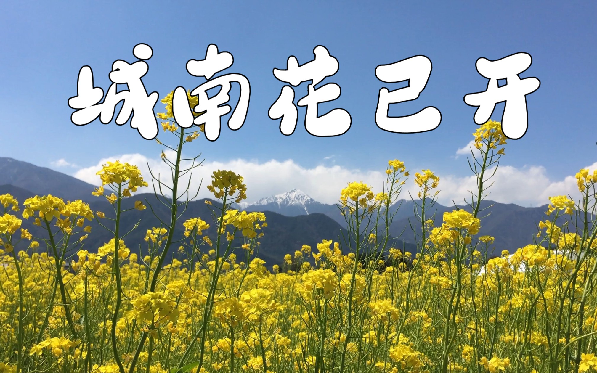 【4k hi-res】《城南花已开》三亩地 待君归来时,花开城南外;纯音乐