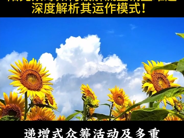 阳光众筹如何破解流量销量难题?深度解析其运作模式!哔哩哔哩bilibili