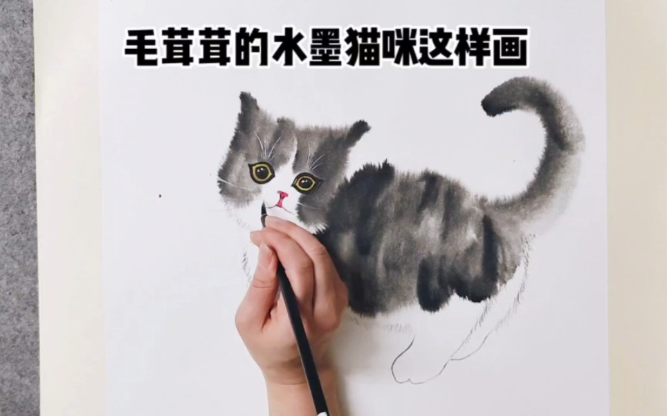 毛茸茸的水墨猫咪可以这样画哔哩哔哩bilibili