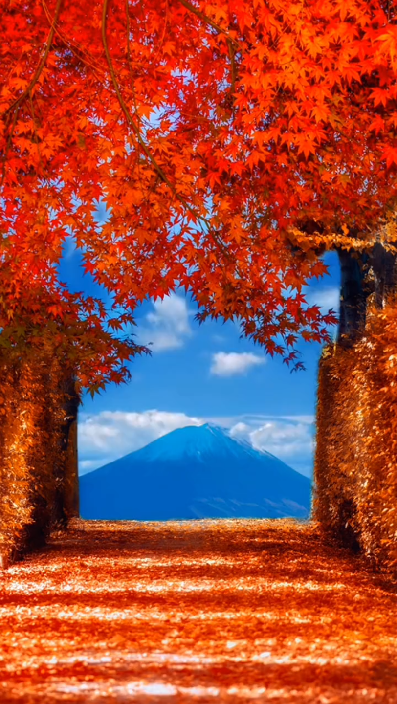 背景素材 "想拥有必先懂得失去怎么接受",富士山下钟无艳,吴哥窟奈乙