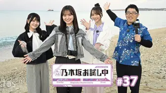 Download Video: 【乃木坂46】[中字]20240224嘗試中#37