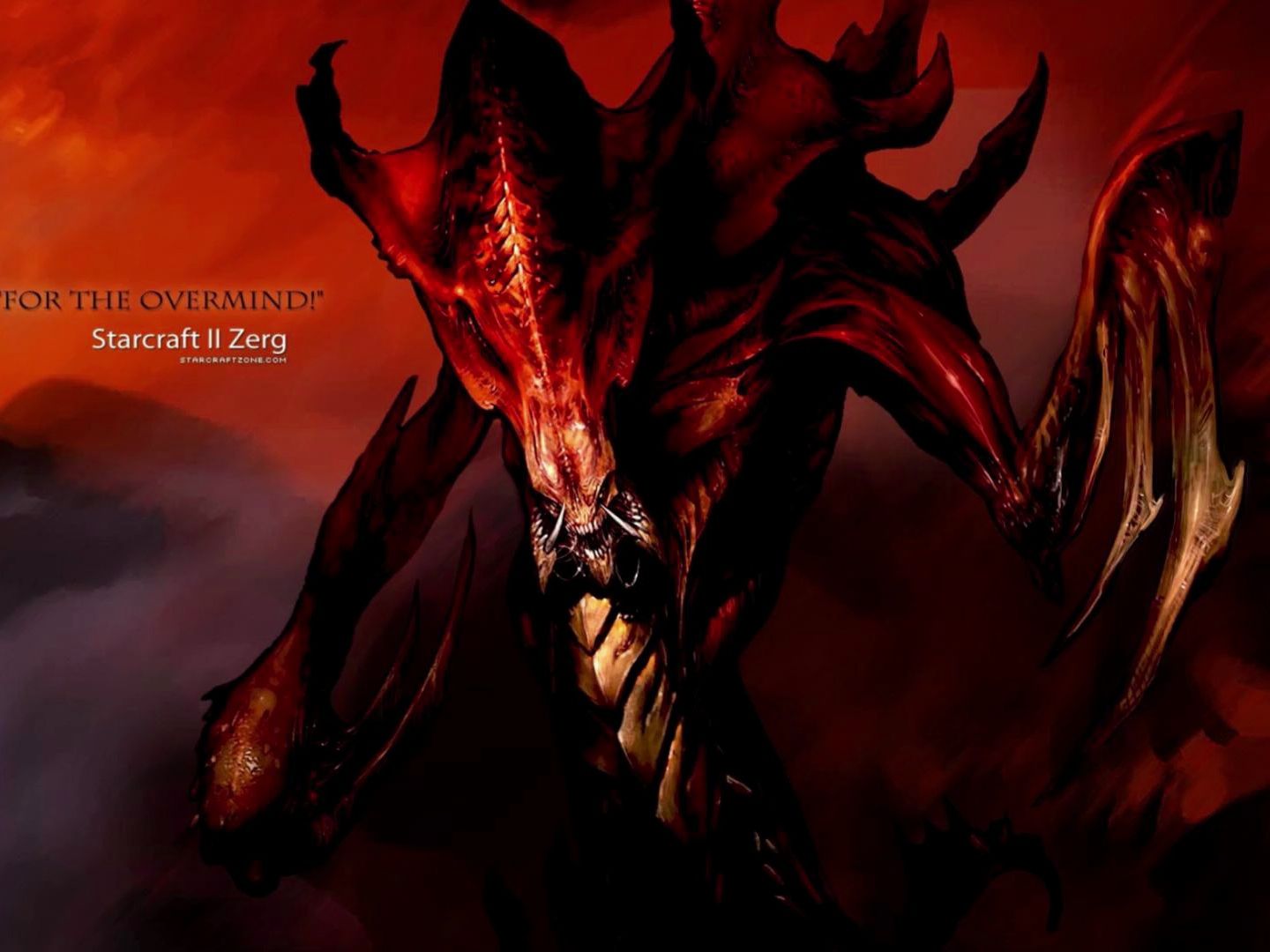 星际争霸之360度旋风斩的大牛