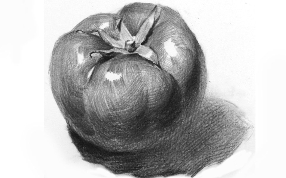 素描静物西红柿的画法图片