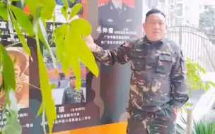 Tải video: 那年老班长单手插兜 不知道什么是对手