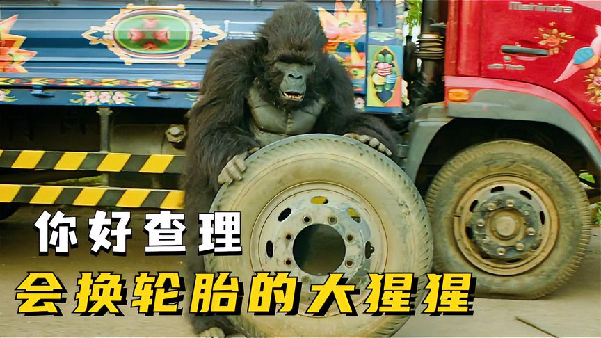 这只大猩猩成精了!不但会修轮胎,还会骑自行车,爆笑喜剧