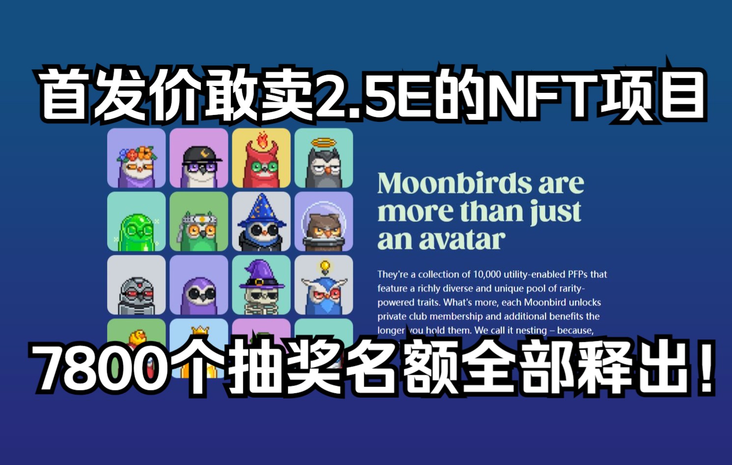 【Moonbirds】近期重磅热门:由Proof社区打造的10K项目哔哩哔哩bilibili