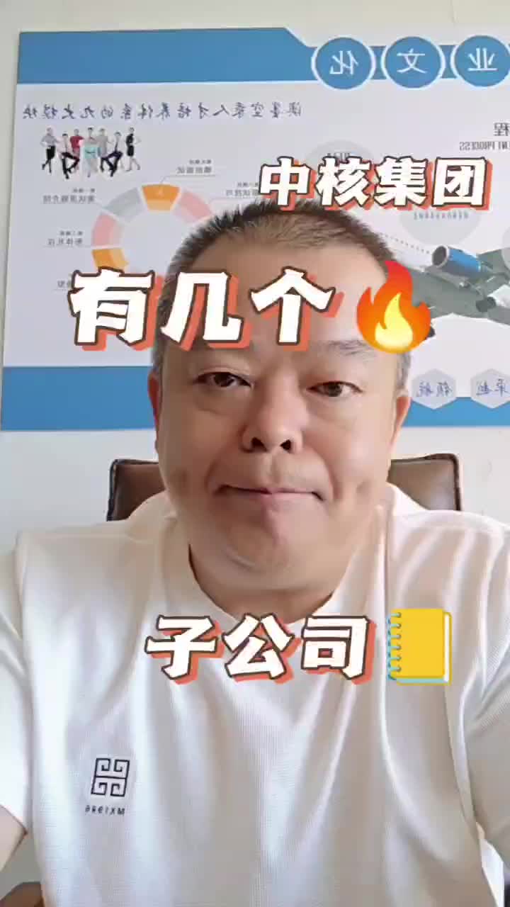 中核有几个子公司?哔哩哔哩bilibili