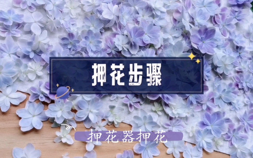 记录押花过程哔哩哔哩bilibili