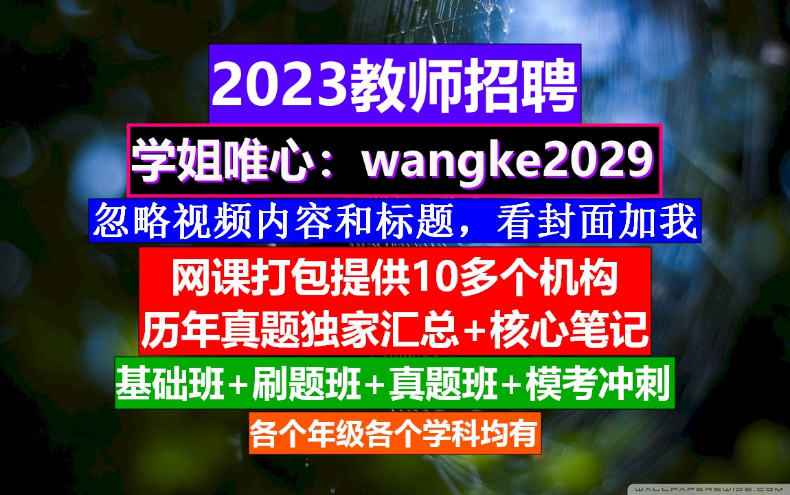 2023全国教师招聘小初高数学,公基的网课谁家比较好,教师招聘培训哔哩哔哩bilibili