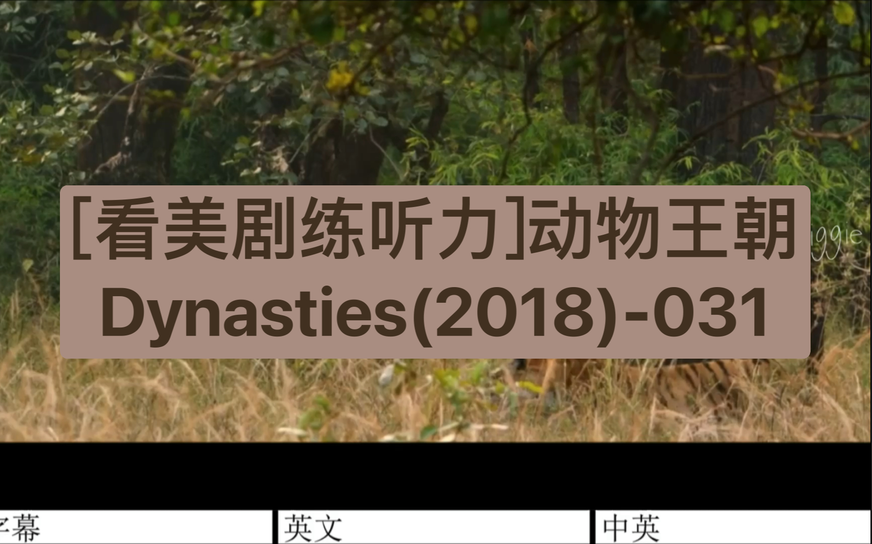 [图][看美剧练听力]动物王朝Dynasties(2018)-031