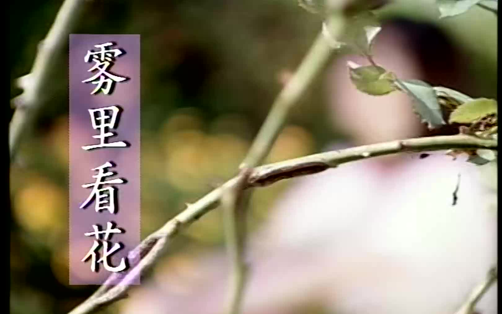 [图]雾里看花 孟庭苇