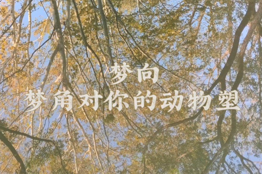 梦向|梦角对你的动物塑