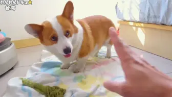 人類誕生cg 180万年前の人類はマラソンランナーだった Nhkスペシャル Nhk1 5ch 哔哩哔哩 Bilibili