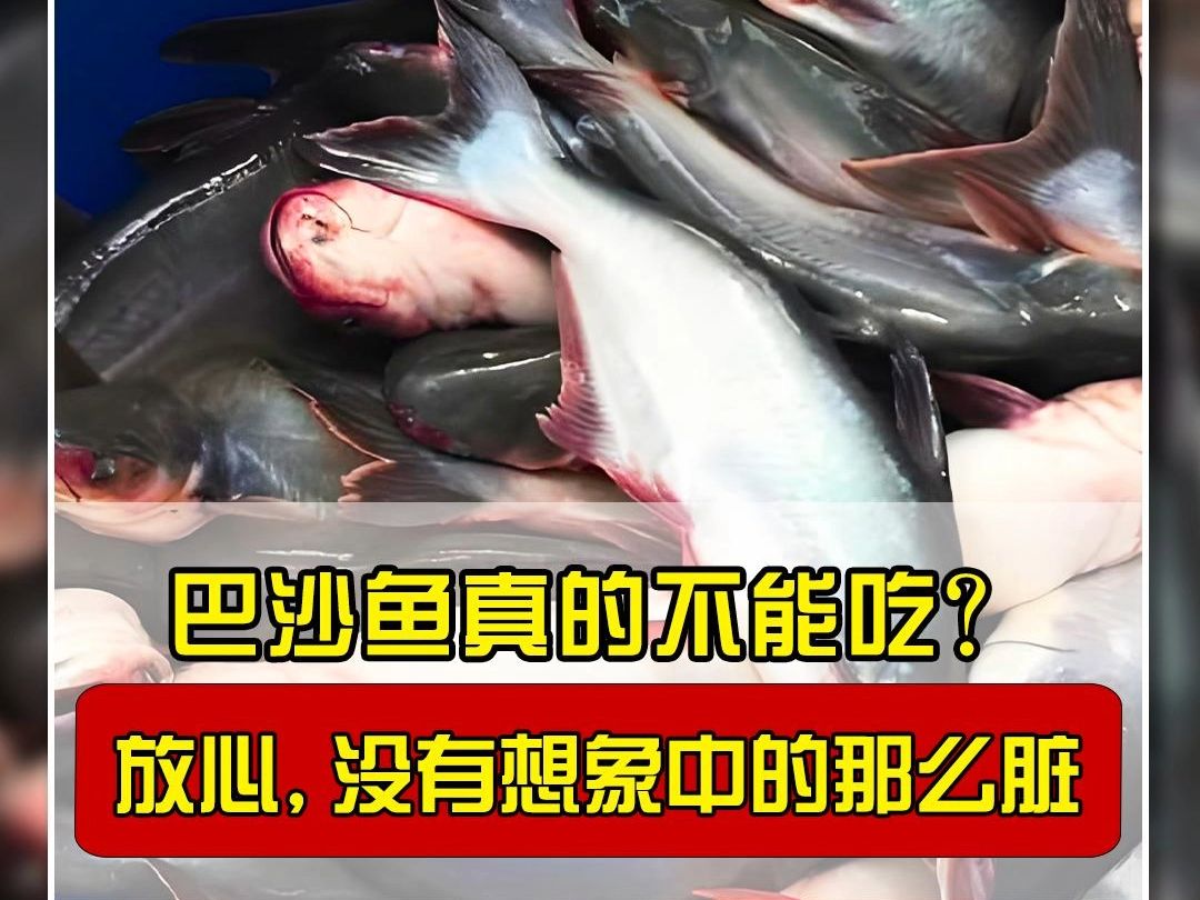 巴沙鱼真的不能吃?放心,没有想象中的那么脏